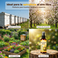 🐝 Spray Natural Atrayente de Abejas para Exteriores
