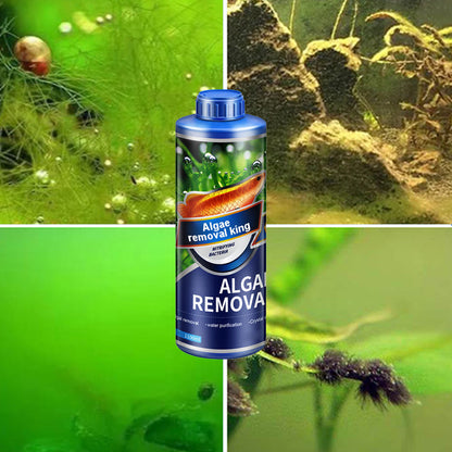 🔥Hot sale🔥Crazy Aquatic weed algae remover for algae king