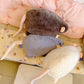 🐭💖Juguete y Almohada de Ratón de Peluche Adorable