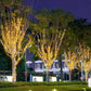 🎁 50% de descuento – Guirnalda de luces decorativas solares 🏠 Decoración imprescindible para tu jardín